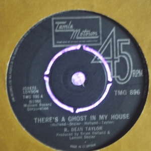 There's A Ghost In My House Image