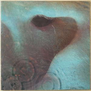 Meddle Image