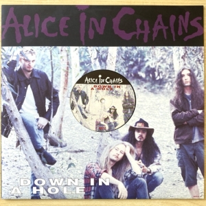 Down In A Hole Image