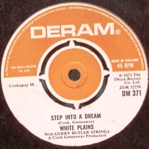 Step Into A Dream Image