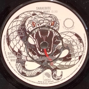 Snakebite Image