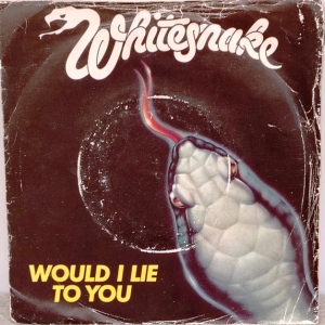 Would I Lie To You Image