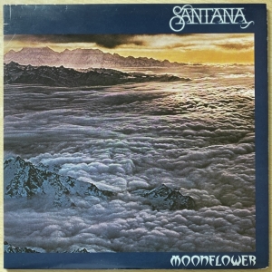 Moonflower Image