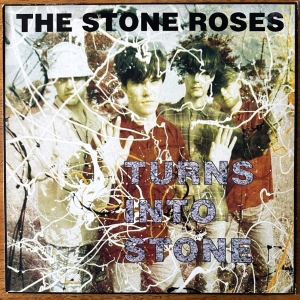 Turns Into Stone Image