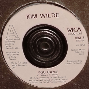 You Came Image