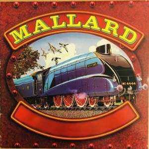 Mallard Image