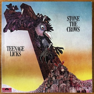 Teenage Licks Image