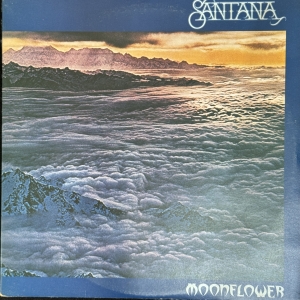Moonflower Image