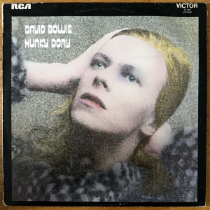 Hunky Dory Image