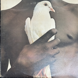 Santana's Greatest Hits Image