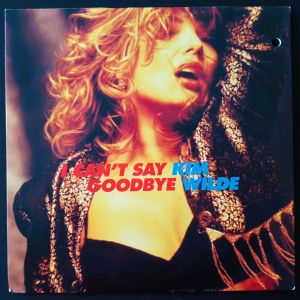 I Can't Say Goodbye Image