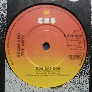 Dog Eat Dog Image