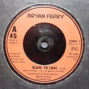 Slave To Love Image
