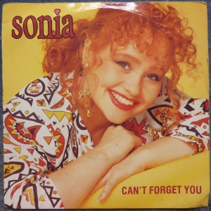 Can't Forget You Image