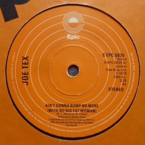 Ain't Gonna Bump No More (With No Big Fat Woman) Image