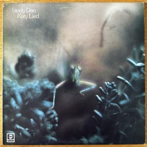 Katy Lied Image