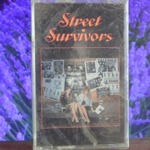 Street Survivors Image