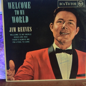 Welcome To My World EP Image