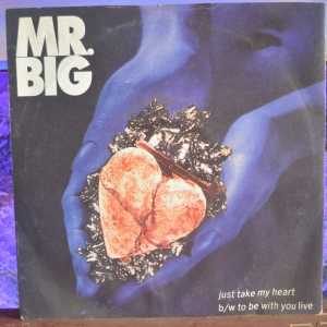 Just Take My Heart Image