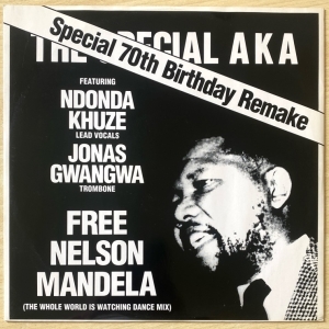 Free Nelson Mandela (The Whole World Is Watching Dance Mix) Image