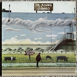 Dr John's Gumbo Image
