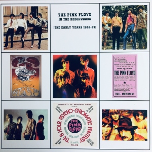 In The Beechwoods (The Early Years 1965-67) Image