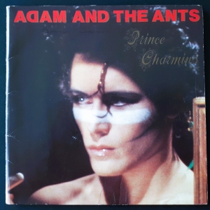 Prince Charming Image
