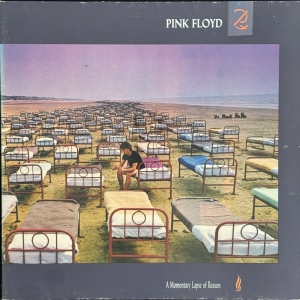 A Momentary Lapse Of Reason Image