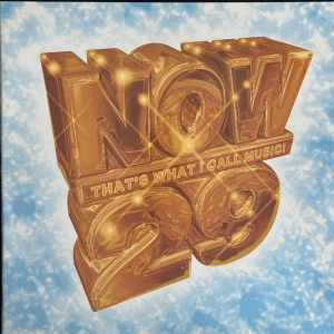 Now That's What I Call Music 29 Image