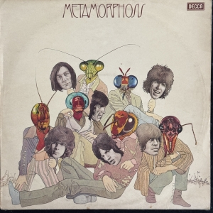 Metamorphosis Image