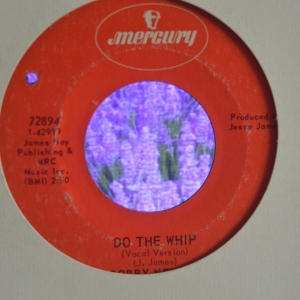 Do The Whip Image