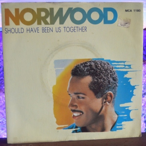 Should Have Been Us Together Image