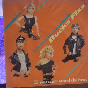 If You Can't Stand The Heat Image