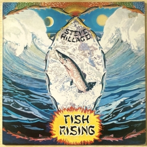 Fish Rising Image
