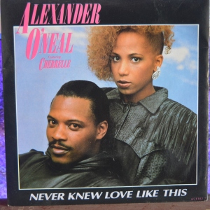 Never Knew Love Like This Image