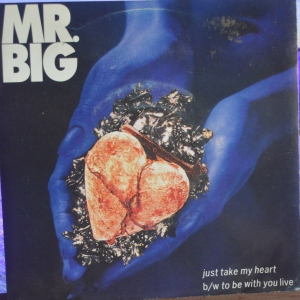 Just Take My Heart Image