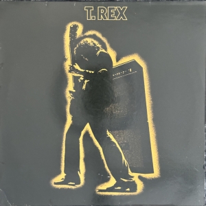 Electric Warrior Image