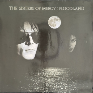 Floodland Image