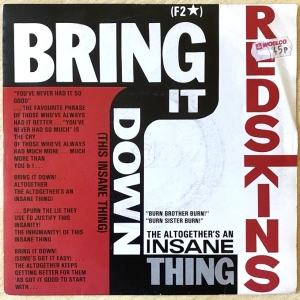 Bring It Down! (This Insane Thing) Image