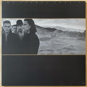 The Joshua Tree Image