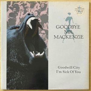 Goodwill City / I'm Sick Of You Image