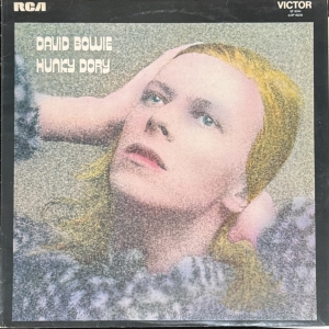 Hunky Dory Image