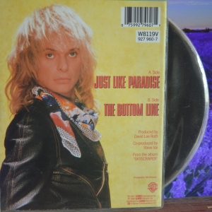 Just Like Paradise Image
