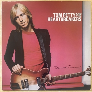 Damn The Torpedoes Image
