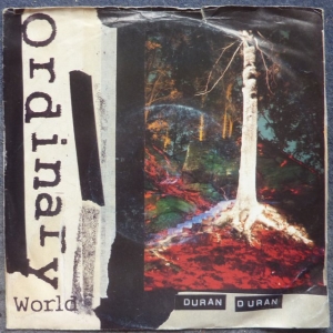 Ordinary World Image