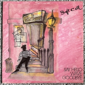 Say Hello Wave Goodbye Image