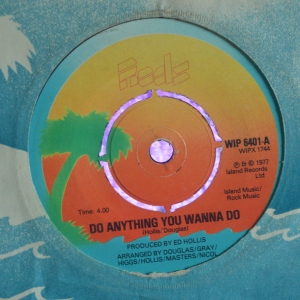 Do Anything You Wanna Do Image