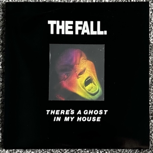 There's A Ghost In My House Image