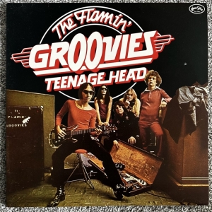 Teenage Head Image