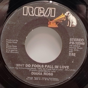 Why Do Fools Fall In Love Image